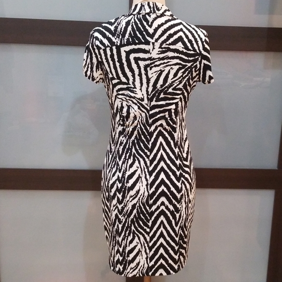 Zebra Print Dress - Picture 6 of 8